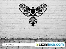 Lazer Cizimleri Panosundaki Pin