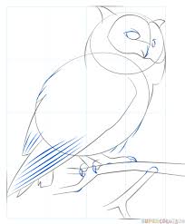 Gridline drawings that you can color in or leave plain. 10 Exquisite Learn To Draw Animals Ideas Owls Drawing Realistic Drawings Drawings