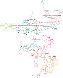 Image result for Agrostis quinqueseta