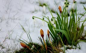 Le Froid Necessaire Au Jardin En Hiver