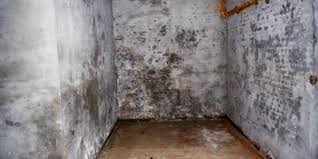 If you have music related items in your basement area you will want to see this. Paint For Damp Basements And Cellars Earthborn Paints