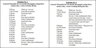 Potty Training Schedule For Puppies Goldenacresdogs Com