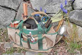 It also makes sense to leave some areas unplanted at first. How To Plant Your First Vegetable Garden Gardener S Path
