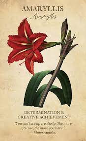 Botanical Inspirations Deck Book Set Botanical Flowers Language Of Flowers Flower Meanings