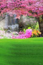 Spring Flowers Green Grass Backdrop For Photography Cm Hg 293 E Studio Background Images Backdrops Backgrounds Photoshop Backgrounds Backdrops