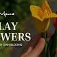 Cute Clay Bouquet event image
