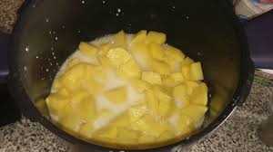 La Puree Au Cookeo Ma Vie De Maman 27 Idee Recette Cookeo Cookeo Recette Recette Cokeo