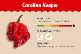 Topped this ghost pepper young and it's it's going crazy with shoots. The World S Hottest Peppers You Can Cook With