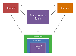 modern organizational design organizational behavior