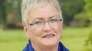 Delmenhorster Ratsfrau soll Vorwürfe gegen SPD-Landespolitiker