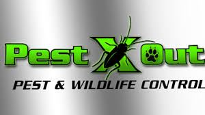 Professional wildlife & pest control experts. Wildlife Removal Starting At 99 24 7 Emergency Service