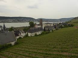 Vineyard above the town of rüdesheim am rhein 2.jpg. Rudesheim Wanderung Mit Seilbahn Und Gondel Uber Das Niederwalddenkmal Zuruck Nach Rudsheim