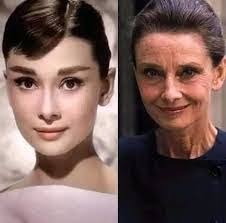 Donnette Hermes's Instagram, Twitter & Facebook