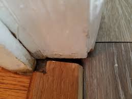 When you install the trim, put a thin bead of sealant (approved for use with laminate and wood) where it meets the laminate floor. Closing Gap Around Floor Transition Strip And Door Trim Home Improvement Stack Exchange