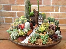 Steps to making an indoor cactus garden: 46 Creative Diy Indoor Succulent Garden Ideas Roundecor