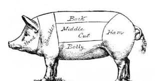 Reporting From Familyfarmed Using The Whole Hog Pig Pig Illustration Pig Drawing