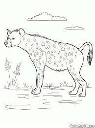 Whitepages is a residential phone book you can use to look up individuals. Hyena Coloring Pages Learny Kids