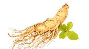 Ada dua jenis utama dari ginseng, yaitu ginseng amerika yang memiliki maca juga dikenal sebagai ginseng dari peru, yang merupakan tanaman yang dapat dimakan dan mampu menahan kondisi ekstrim tumbuh dibawah. Demi Kuat Di Ranjang Mau Coba 7 Obat Kuat Alami Ini Gaya Tempo Co