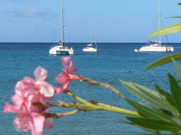 When air martinique existed, its headquarters was located on the airport property. Fort De France Weather Climate When And Where To Go Travel Guide