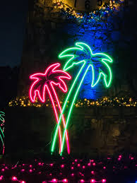 Pin On Neon Flex