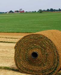 Central farm and garden, inc. Sporting Valley Turf Farms Pennsylvania S Largest Grower Of Natural Sod
