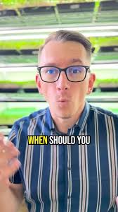 How to Determsn Tour Grow Scheduel for Microgreens Business