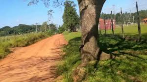 Hotel restaurant paraguay villarrica urlaub auswandern gästezimmer ferienhaus ferienwohnung. Paraguay Fahrt Durch Colonia Independencia 1 Paraguay Youtube