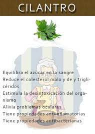 Las Abuelas Un Mundo De Sabiduria Poder Curativo Del Cilantro Recetas Para La Salud Remedios Para La Salud Productos Para La Salud