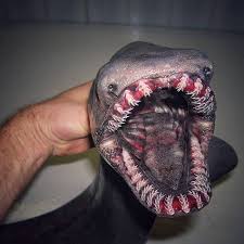Nah, itulah 7 ikan laut dalam yang memiliki bentuk dan wujud yang aneh. Byeblog S Inc 10 Jenis Ikan Laut Dalam Yang Aneh Menyeramkan Dan Langka