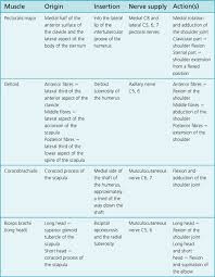 Check spelling or type a new query. Shoulder Joint Musculoskeletal Key
