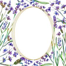 Purple Lavender Flowers Wild Spring Flowers With Green Leaves Watercolor Background Illustration Round Frame Border Free Stock Photo And Image