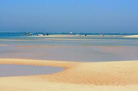 Lots of other species to see, though the flamingos weren't visible as the tides were too low while we were there. Boat Trip To The Islands And Beaches Of Ria Formosa Algarve