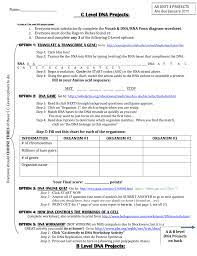Biology chapter 16 18 evolution and classification notes. Unit 4 Dna And Protein Synthesis