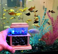 Stone Base Aquarium Dollhouse Aquarium Miniature Aqaurium Miniature Fish Tank Led Aquarium Toy Fish Tank S Small Fish Tanks Doll House Miniature Aquarium