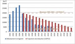 Sustained growt h of assets under management over the years is tangible. Is Brazil Now In Control Of Deforestation In The Amazon