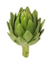 The Amazing Artichoke Growing Artichokes Artichoke Artichoke Plants