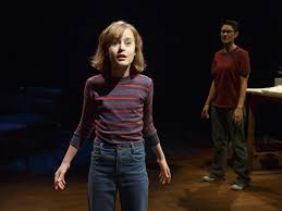 Fun Home Fun Home Musical Fun Home Broadway Musicals