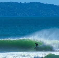 نتیجه جستجوی لغت [surf] در گوگل