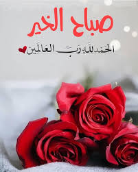 Pin By Salman Khan On Good Morning Good Morning Flowers Morning Flowers Beautiful Morning