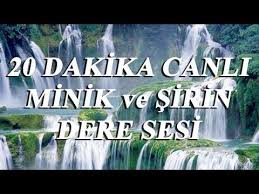 Dinlendirici Ve Rahatlatici Kus Sesleri Huzur Veren Terapi Su Sesi Ve Kus Otusleri Sifali Sesler Youtube 2020 Terapi Ses Youtube