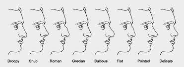 Male Nose Types Google Search Nose Types Nose Shapes Different Nose Shapes We introduce a new way of displaying our reference pictures to make things more convenient for you. nose shapes