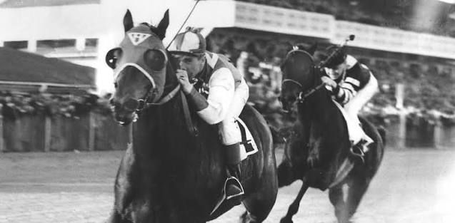 We're all Seabiscuit sometimes - by Terrell Johnson