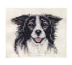Border Collie Dog Puppy Full Counted Cross Stitch Kit All Materials Fido Ebay Cross Stitch Animals Cross Stitch Borders Cross Stitch Embroidery