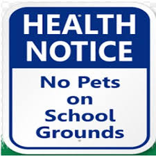 Contoh soal notice dan jawabannya. Materi Contoh Dan Soal Notice Warning 2020 Bahasa Inggris Smp Mts