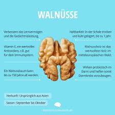Die Walnuss Ein Richtiges Brainfood Brain Food Magazin Lebensmittel Essen Food Magazine Walnuss