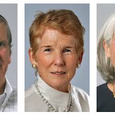 McCaskill, McAuliffe, Donnell elected in Belvedere council race; fire tax  approved