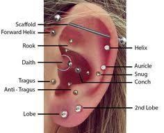 Top Ear Piercings In 2019 Ear Piercing Diagram Top Ear