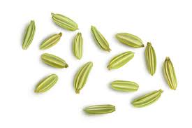 Fennel Seeds Images – Browse 17,005 Stock Photos, Vectors, and Video |  Adobe Stock