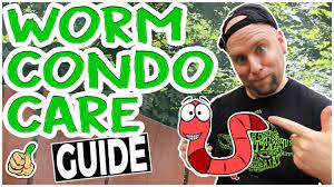 Worm Composting How To Care For Your Worm Farm - Youtube