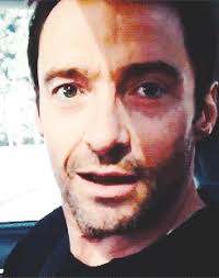 Make your own images with our meme generator or animated gif maker. Hugh Jackman Gif Tumblr Hugh Jackman Shirtless Hugh Jackman Young Wolverine Hugh Jackman
